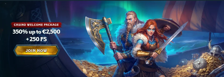 Ragnaro banner